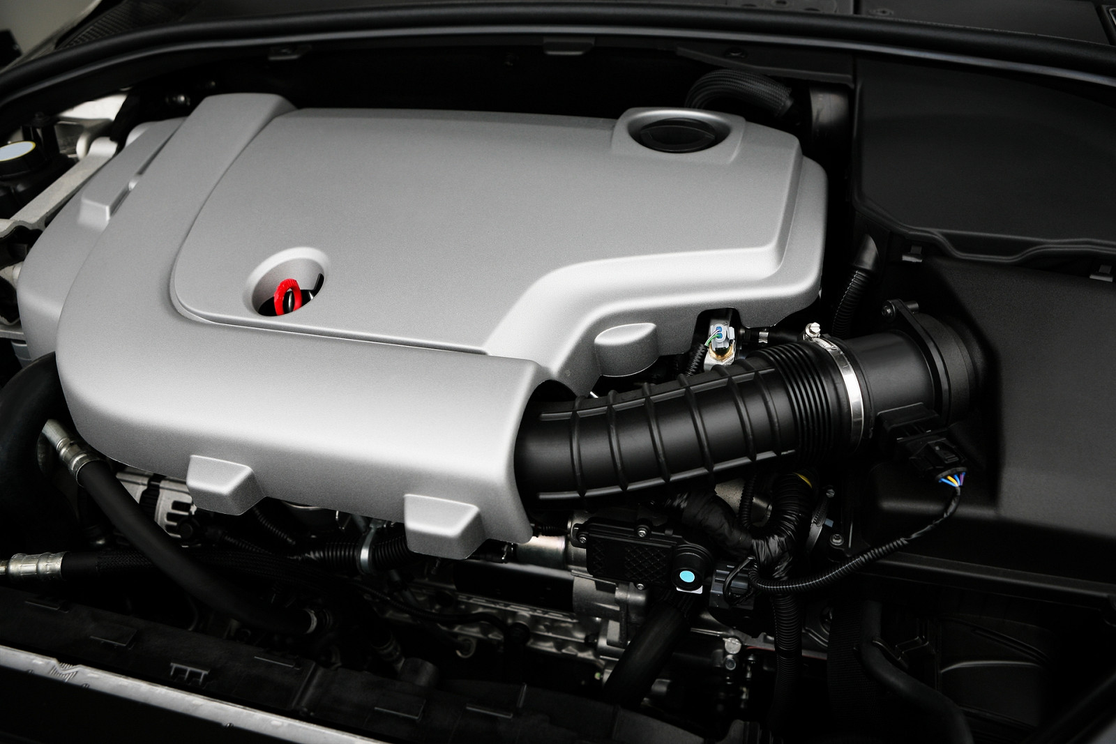 shutterstock_35290771 min.jpg